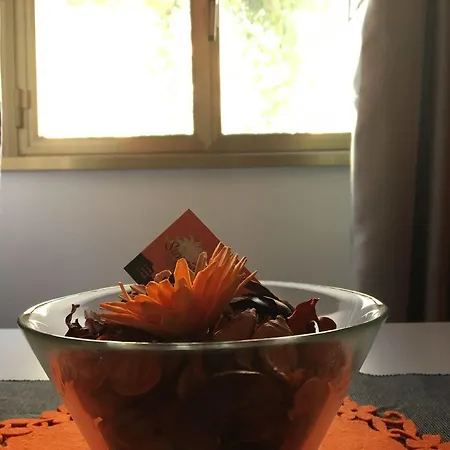 Sunrise Отель типа 